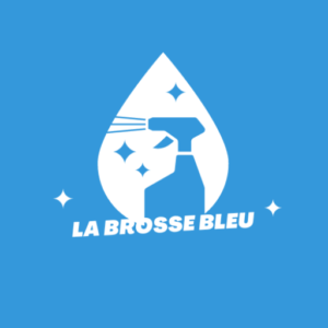 La brosse bleu nettoyage tissus sur Tarbes